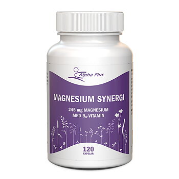 Magnesium Synergi 245mg 