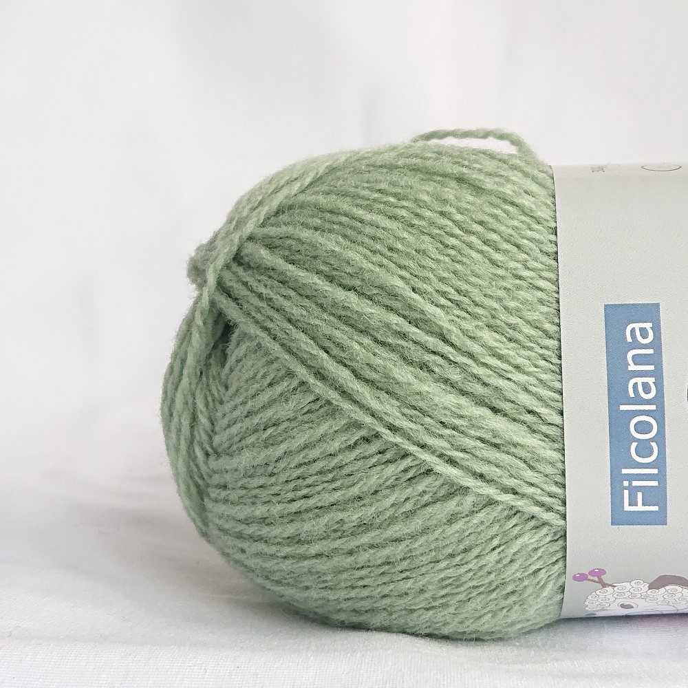 SAGA LICHEN 123 - 2