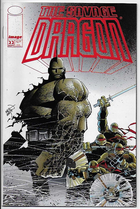 Savage Dragon # 22 VF/NM