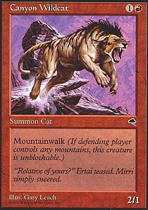 MTG Tempest - Canyon Wildcat