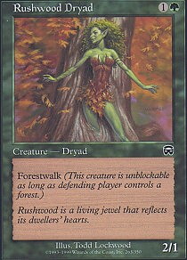 MTG Mercadian Masques - Rushwood Dryad