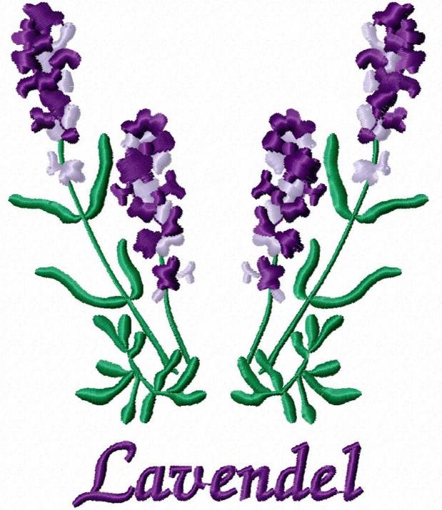 Lavendel