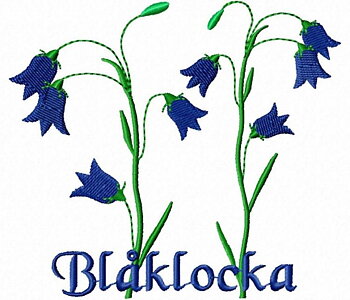 Blåklocka Dalarna