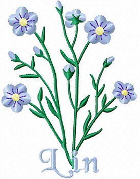 Linblomma Hälsingland