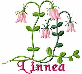 Linnea Småland
