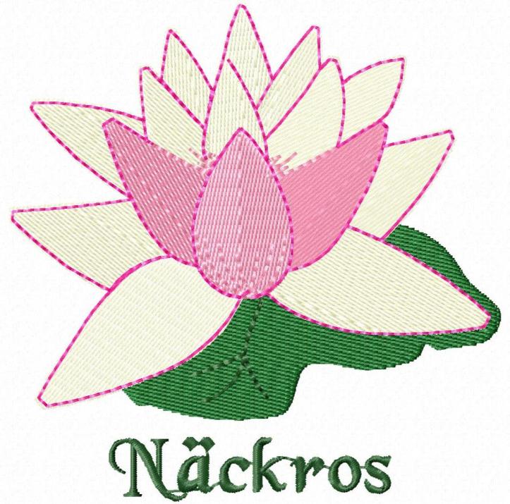 Näckros Södermanland
