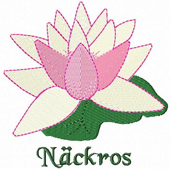 Näckros Södermanland
