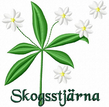 Skogsstjärna Värmland