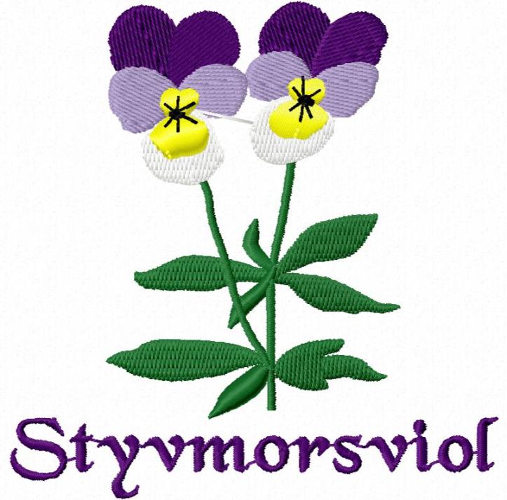 Styvmorsviol Ångermanland