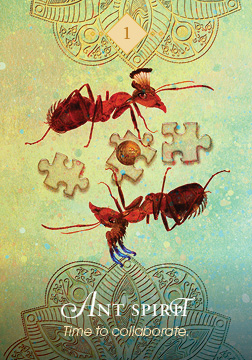 The Spirit Animal Oracle - 2