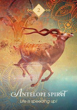 The Spirit Animal Oracle - 3