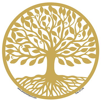 Window Sticker Tree Of Life
