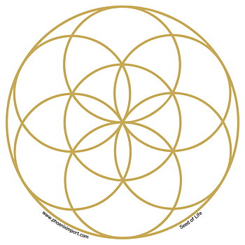Window Sticker Seed Of Life