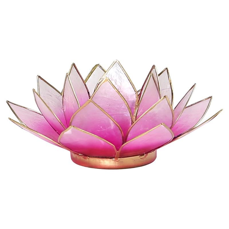 Lotus Atmospheric Light Pink Gold Trim -- 13.5 Cm
