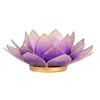 Lotus Atmospheric Light Violet Gold Trim -- 13.5 Cm