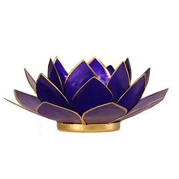 Lotus Atmospheric Light 6Th Chakra Indigo Gold Trim -- 13.5