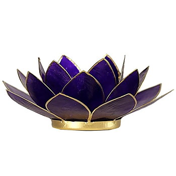 Lotus Atmospheric Light Chakra 7 Violet Gold Trim -- 13.5 C