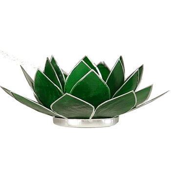 Lotus Atmospheric Light Chakra 4 Green Silver Trim-- 13.5