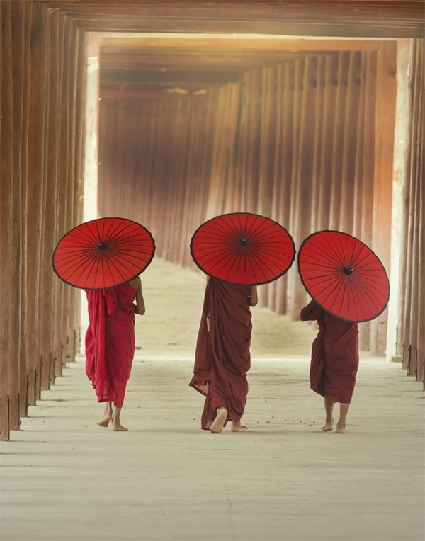 Mindful Walking