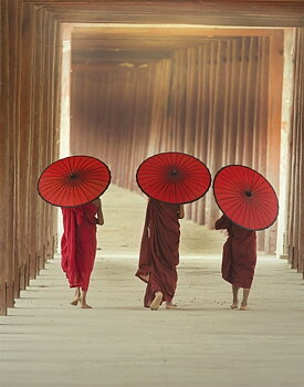 Mindful Walking