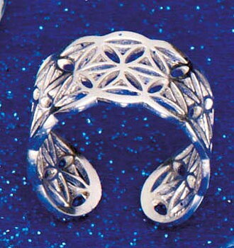 Öppen Ring I Silver