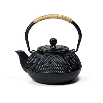 Japanese Style Tetsubin Cast Iron 0.6 Liter Teapot