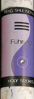 Ledning - Fuhrung