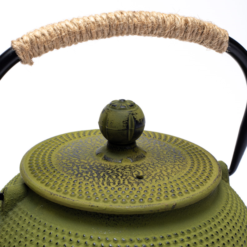 Japanese Style Tetsubin Cast Iron 0.6 Liter Teapot Green - 3