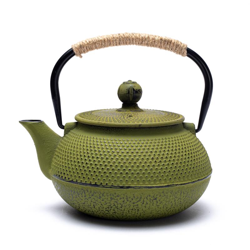 Japanese Style Tetsubin Cast Iron 0.6 Liter Teapot Green