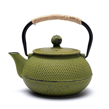 Japanese Style Tetsubin Cast Iron 0.6 Liter Teapot Green