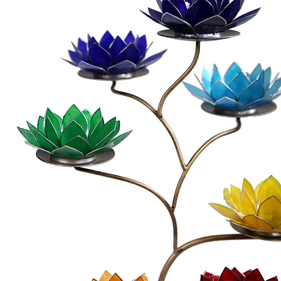 Display Till Lotusblommor Brons - 2