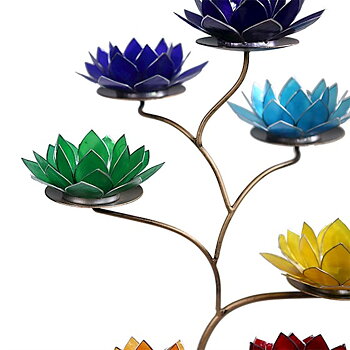 Display Till Lotusblommor Brons