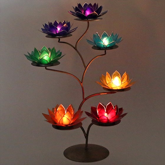 Display Till Lotusblommor Brons - 3