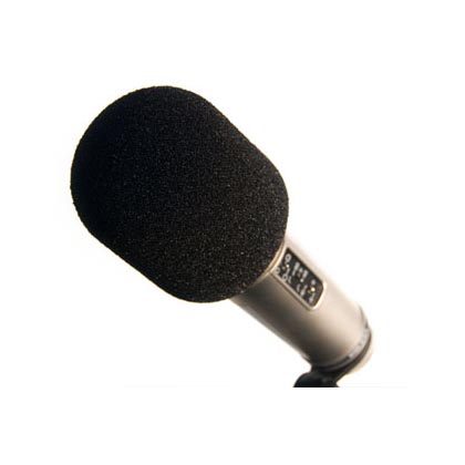 Rode WS2 Wind Screen