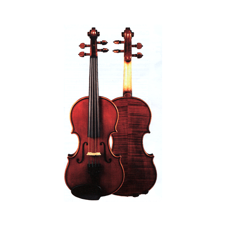 Arirang Student Violin-Sats