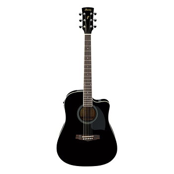 Ibanez PF15ECE-BK