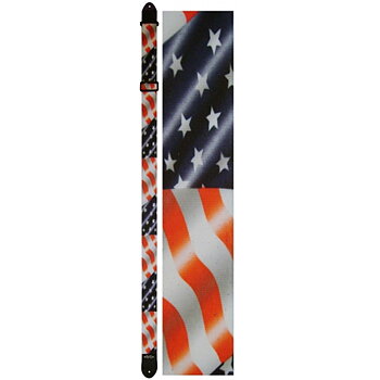 Perri's LPCP-45 | 2" Polyester Strap - USA