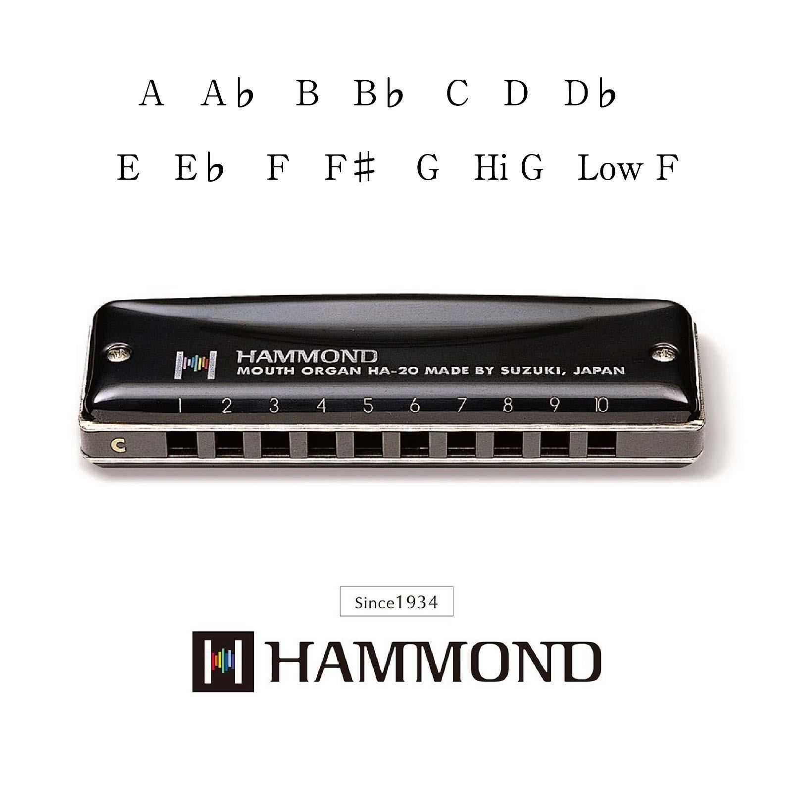 Suzuki Hammond HA-20 Harmonica  - F# - 3