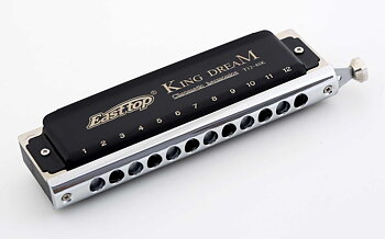 Easttop King Dream Chromatic Harmonica T12-48K - C