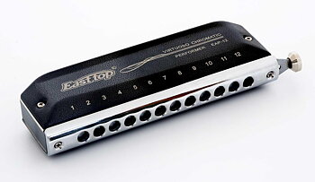 Easttop King Dream Chromatic Harmonica EAP-12 - G