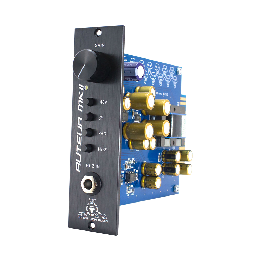 Black Lion Audio Auteur MK2 500 - 2