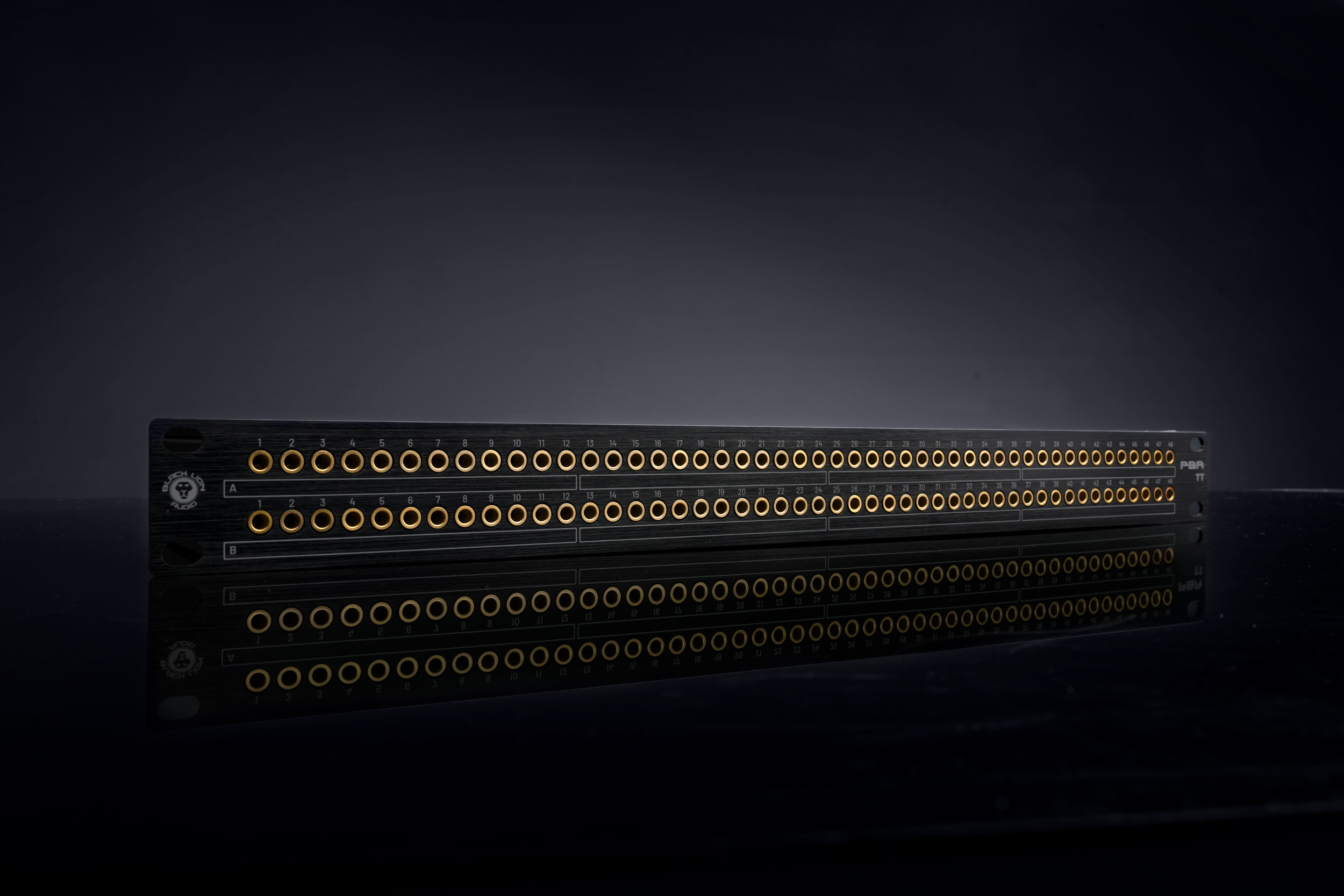 Black Lion Audio PBR TT - 6