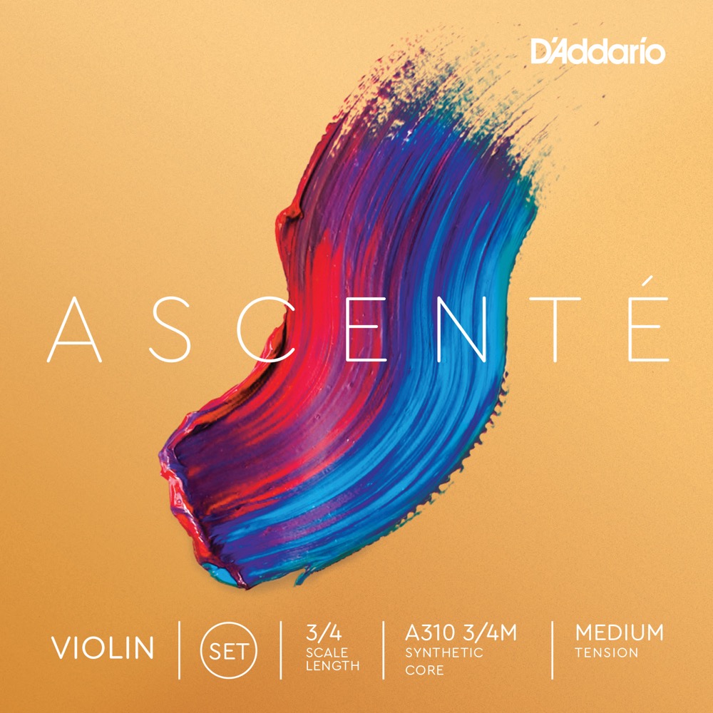 D'Addario Ascenté A310 3/4M - 2