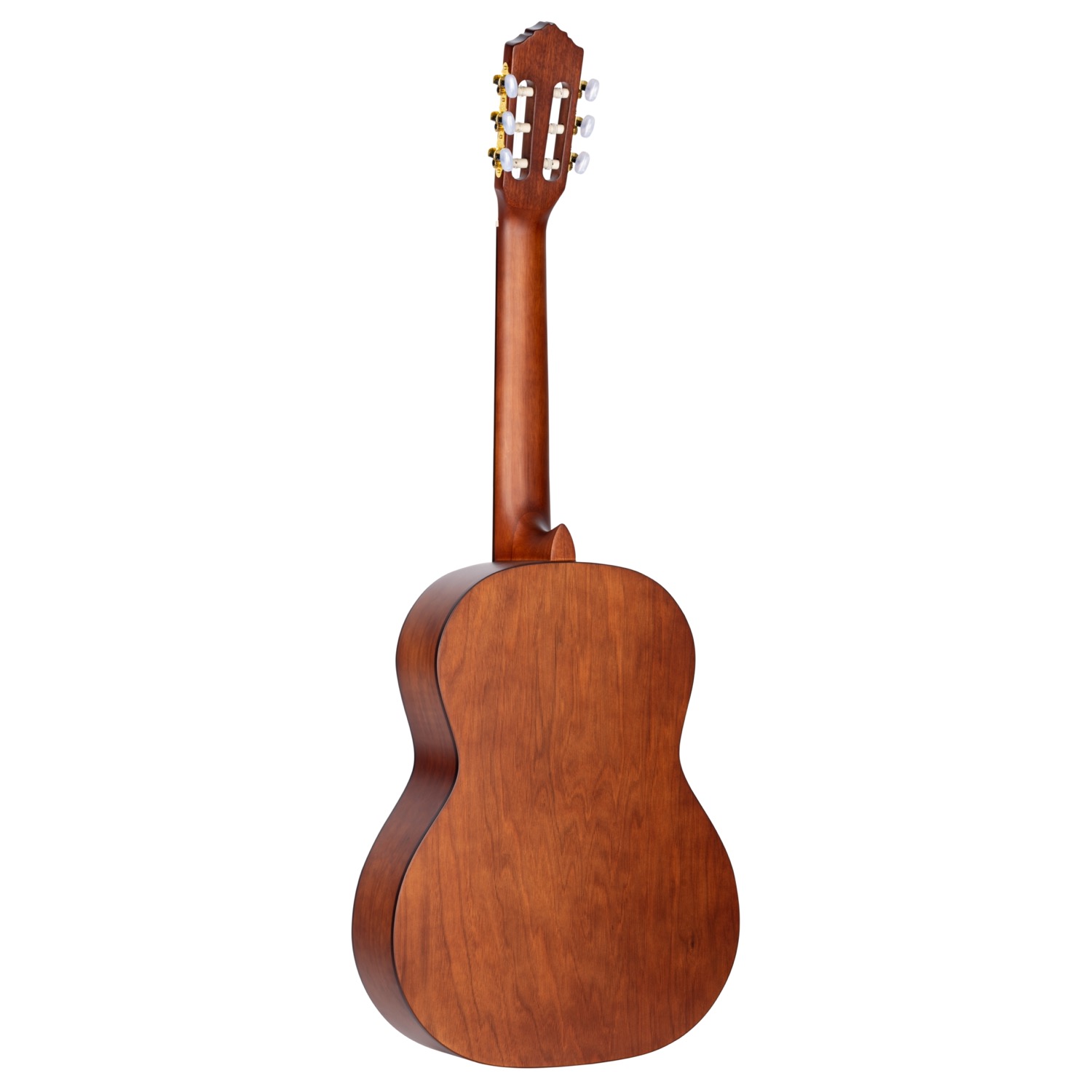 Ortega R55DLX-BFT - 4