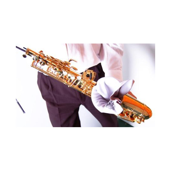 Instrument Swab BG A30L Tenor Saxophone