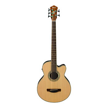 Ibanez AEB105E-NT