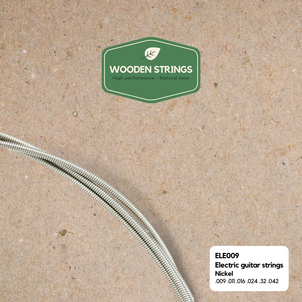 Wooden strings ELE009 elgitarrsträngar, 009-042