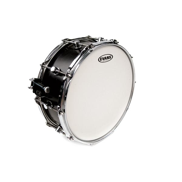 Evans B12HDD
