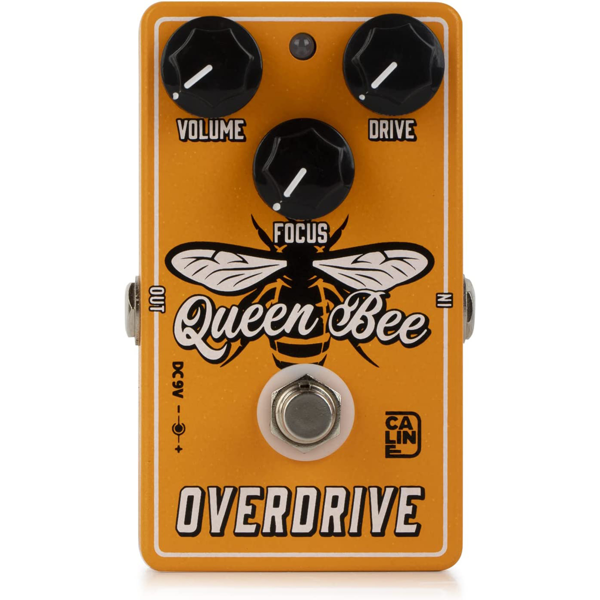Caline CP-503 Queen Been