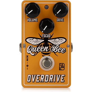 Caline CP-503 Queen Been